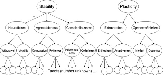 Cybernetic Big Five Theory